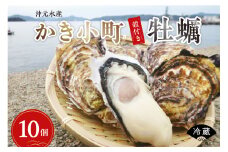 【先行受付】【2026年1月中旬より発送】沖元水産 かき小町 殻付き 牡蠣 10個 牡蠣ナイフ、レシピ付 ku009-002-25