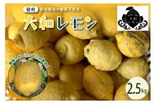【2025年10月中旬～発送】栽培期間中農薬不使用　大和レモン 2.5kg ku044-012-25