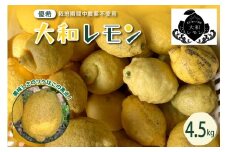 【2025年10月中旬～発送】栽培期間中農薬不使用　大和レモン 4.5kg ku044-013-25