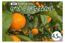 【2025年12月上旬～発送】がけっぷちみかん4.5kg ku044-010-25