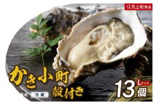 【2025年12月上旬発送】高田水産 殻付 かき小町 13個 (Lサイズ) ku010-006-12-1-25