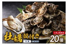 【2026年2月上旬発送】高田水産 殻付かき 20個 (Lサイズ)  ku010-002-02-1-25