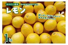 【2025年12月～発送】栽培期間中農薬不使用「レモン」 約1kg ku033-004-25
