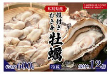 【先行受付】【2026年1月下旬より発送】マルカツ水産 広島県産かき 殻付き 12個 むき身 600g  ku155-008-25