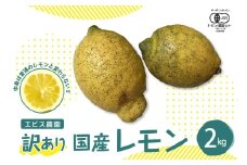 【2025年12月上旬～発送】【訳あり】希少な国産オーガニックレモン2.0kg【栽培期間中農薬不使用】ku026-004-25