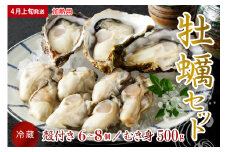 【2026年4月上旬発送】宮原水産 かき 殻付き 6～8個 むき身 500g セット 加熱用 ku005-009-04-1-25
