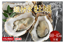 【2026年4月上旬発送】宮原水産 かき 殻付き 40～45個 加熱用 ku005-013-04-1-25