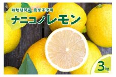 【2025年12月下旬～発送】ナニコノレモン 3kg ku149-001-25