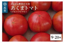 くらはし野菜の王国 あくまトマト （フルーツトマト） 9～20個