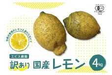 【2025年12月上旬～発送】【訳あり】希少な国産オーガニックレモン4.0kg【栽培期間中農薬不使用】 ku026-005-25