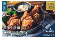 【定期便 12か月】中野水産 美浄生牡蠣 冷凍カキフライ 国産 大粒 かきフライ 便利 小分け 惣菜 おかず お弁当 簡単 海鮮 送料無料 広島県 呉市