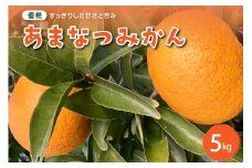 【2026年2月上旬～発送】栽培期間中無農薬 甘夏みかん 5kg ku044-009-25