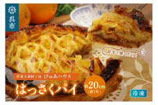 洋菓子素材工房ぴゅあハウス 成形済 冷凍 八朔パイ 約20cm (7号弱)
