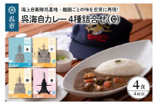 呉海自カレー レトルトカレー 4種詰合せ（C） けんりゅう 他 セット カレー レトルト 甘口 中辛 辛口 簡単調理 常温保存 送料無料 広島県 呉市