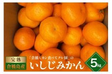 【2025年12月初旬～発送】倉橋ミカン食べてクレ園 いしじみかん 約5kg ku154-001-25