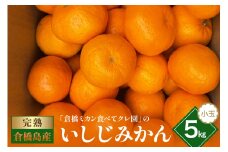 【2025年12月初旬～発送】倉橋ミカン食べてクレ園 いしじみかん 小玉 約5kg ku154-002-25