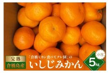 【2025年12月初旬～発送】倉橋ミカン食べてクレ園 いしじみかん 小玉 約5kg ku154-002-25