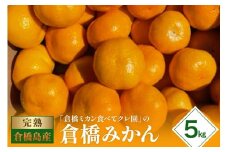 【2025年11月初旬～発送】倉橋ミカン食べてクレ園 倉橋みかん 約5kg ku154-003-25