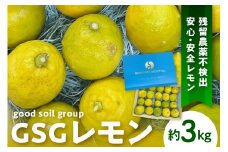 【2025年12月上旬～発送】GSGレモン～残留農薬不検出～ 約3kg ku175-001-25