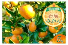 【2025年12月上旬～発送】川田柑橘園　呉市大長産「いしじみかん」5kg ku055-014-25