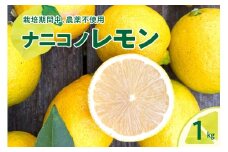 【2025年12月下旬～発送】ナニコノレモン 1kg ku149-005-25