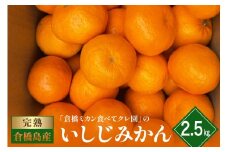 【2025年12月初旬～発送】倉橋ミカン食べてクレ園 いしじみかん 約2.5kg ku154-007-25