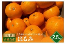 【2026年1月下旬～発送】倉橋ミカン食べてクレ園 はるみ 約2.5kg ku154-006-25