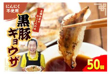 黒豚ギョウザ 50個入り