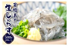 【先行受付】生シラス500g (100g×5個)