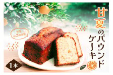 甘夏のパウンドケーキ 1本 広島県 呉市 ku210-001-r