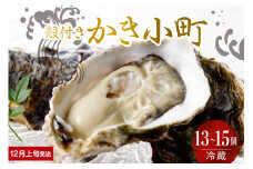 【2025年12月上旬発送】宮原水産 かき小町 殻付き 13～15個 ku005-012-12-1-25