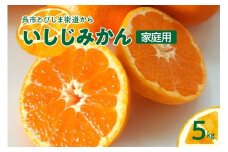 【2025年12月～発送】石地みかん 家庭用5kg ku149-006-25