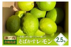【2025年11月初旬～発送】瀬戸内特産 そばかすレモン 約2.5kg ku154-011-25