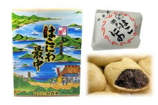 はこにわ最中 1箱 20個入り いちかわ菓子舗