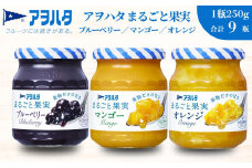 【アヲハタジャム】まるごと果実 ブルーベリー / マンゴー / オレンジ 各3瓶 合計9瓶（1瓶250g〜255g） ジャム ママレード マーマレード 果物 フルーツ スプレッド ブルーベリー マンゴー オレンジ みかん ミカン