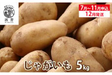 吉名の「まるきっちゃん」じゃがいも 5kg＋400g（傷み補償分）【7月～11月申込】12月発送 ｜ 野菜 じゃがいも ポテト いも 芋 料理 総菜 産地直送 瀬戸内海の温暖な気候で育つ 美味しいじゃがいも　※2025年12月中旬頃順次発送予定