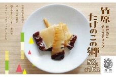 タケノコスイーツ「タケノコの郷」16袋
