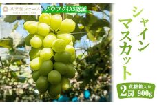 八天堂ぶどう園 シャインマスカット 2房 900g ノウフクJAS認証 化粧箱入り 果物 ぶどう　【 ぶどう フルーツ 果物 甘くて大きい 薄皮 糖度が高い 】 ※2025年8月中旬頃～9月下旬頃に順次発送予定