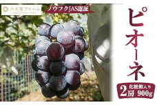 八天堂ぶどう園 ピオーネ 2房 900g ノウフクJAS認証 化粧箱入り 果物 ぶどう　【 ぶどう フルーツ 果物 みずみずしい大きな果粒 爽快な風味 糖度が高い 】 ※2025年8月中旬頃～9月下旬頃に順次発送予定