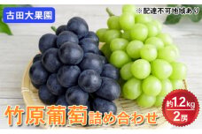 シャインマスカット 旬のぶどう 竹原葡萄 詰め合わせ 約1.2kg（2房） 古田大果園 フルーツ 果物 広島県産　【 減農薬 食感 食べ比べ ピオーネ 安芸クイーン 瀬戸ジャイアンツ 】　※2025年9月上旬～9月下旬頃に順次発送予定