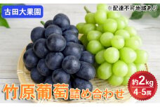 シャインマスカット 旬のぶどう 竹原葡萄 詰め合わせ 約2kg（4～5房） 古田大果園 フルーツ 果物 広島県産　【 減農薬 食感 食べ比べ ピオーネ 安芸クイーン 瀬戸ジャイアンツ 】　※2025年9月上旬～9月下旬頃に順次発送予定