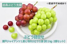 ぶどう詰合せ 瀬戸ジャイアンツ 1房と 旬のぶどう 1房 約1kg 2房セット 貞森ぶどう光園 葡萄 フルーツ 果物　【 大粒 人気 皮ごと 熟した 鮮度 食べ比べ 新しい ピオーネ 】　※2025年9月上旬～9月下旬頃に順次発送予定