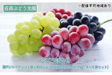 ぶどう詰合せ 瀬戸ジャイアンツ 1房と 旬のぶどうの 詰め合わせ 約2kg 4～5房セット 貞森ぶどう光園 葡萄 フルーツ 果物　【大粒 人気 皮ごと 熟した 鮮度 食べ比べ 新しい 】　※2025年9月上旬～9月下旬頃に順次発送予定
