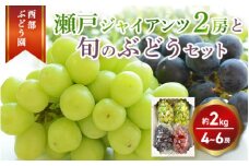 西部ぶどう園 瀬戸ジャイアンツ2房と旬のぶどうセット 4～6房 計約2kg 葡萄 フルーツ 果物