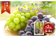 西部ぶどう園 シャインマスカット2房と旬のぶどうセット 4～6房 計約2kg 葡萄 フルーツ 果物