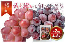 西部ぶどう園 紫苑2房と旬のぶどうセット 4～6房 計約2kg 葡萄 フルーツ 果物