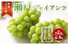 西部ぶどう園 瀬戸ジャイアンツ 4～5房 約2kg 葡萄 フルーツ 果物