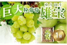 巨大粒葡萄 雄宝（ゆうほう）旬の竹原葡萄 1房 古田大果園 フルーツ 果物 広島県産 ※2025年8月下旬～9月下旬頃に順次発送予定 ※離島への配送不可