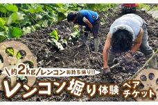レンコン堀り体験ペアチケット 約2kgレンコンお持ち帰り ｜ レンコン 体験 ペア 蓮根 産地直送 シャキシャキ 甘み 野菜 やさい 根菜 食品 広島県 竹原市