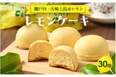 レモンケーキ　30個 ｜ 洋菓子 お菓子 菓子 レモン レモンケーキ スイーツ ギフト 贈答 いちかわ 竹原 瀬戸内 瀬戸内レモン　※離島への配送不可
